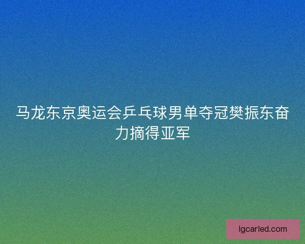 马龙东京奥运会乒乓球男单夺冠樊振东奋力摘得亚军