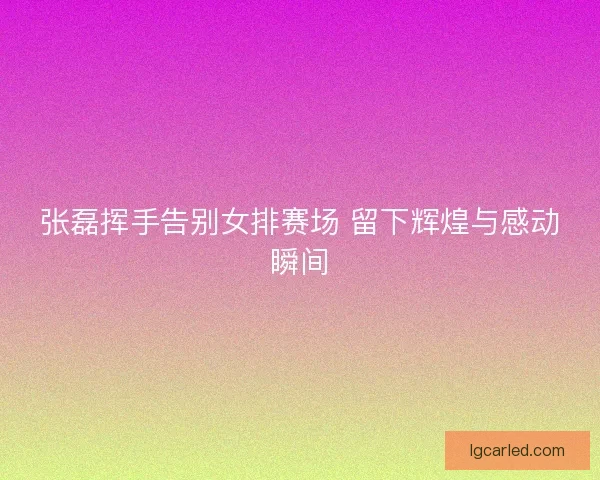 张磊挥手告别女排赛场 留下辉煌与感动瞬间