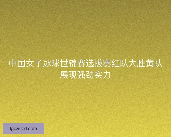 中国女子冰球世锦赛选拔赛红队大胜黄队展现强劲实力