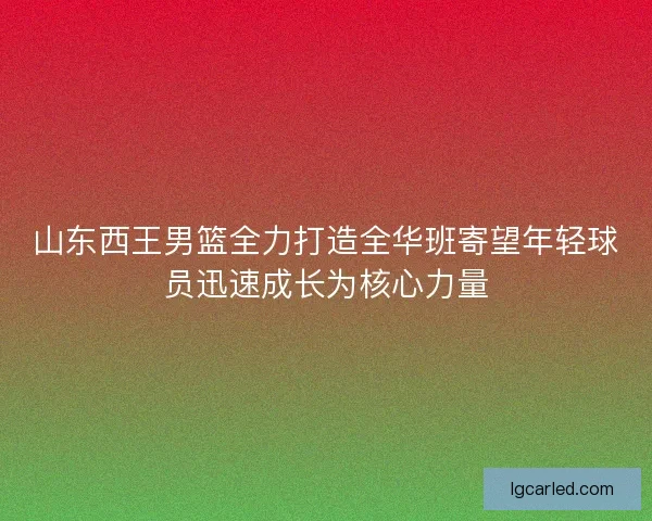 山东西王男篮全力打造全华班寄望年轻球员迅速成长为核心力量